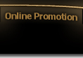 Online Promotion